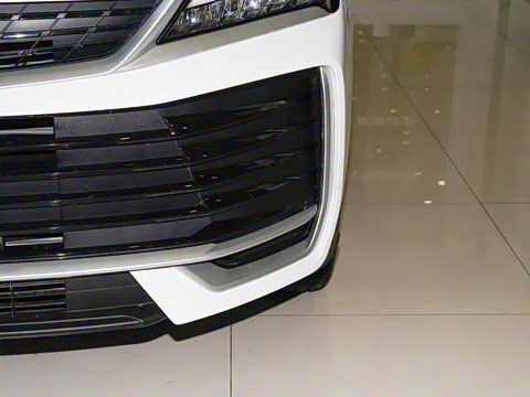 2025�� ��ԽL 1.5TD DCT ��Խ