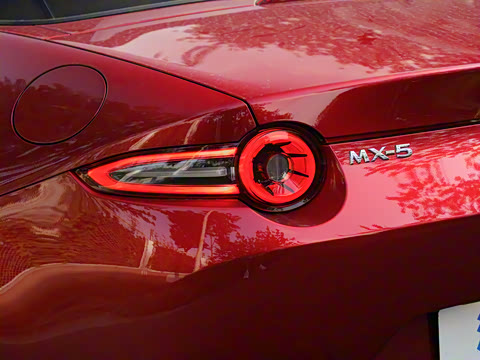 2025�� �ֶ��������� ī�����