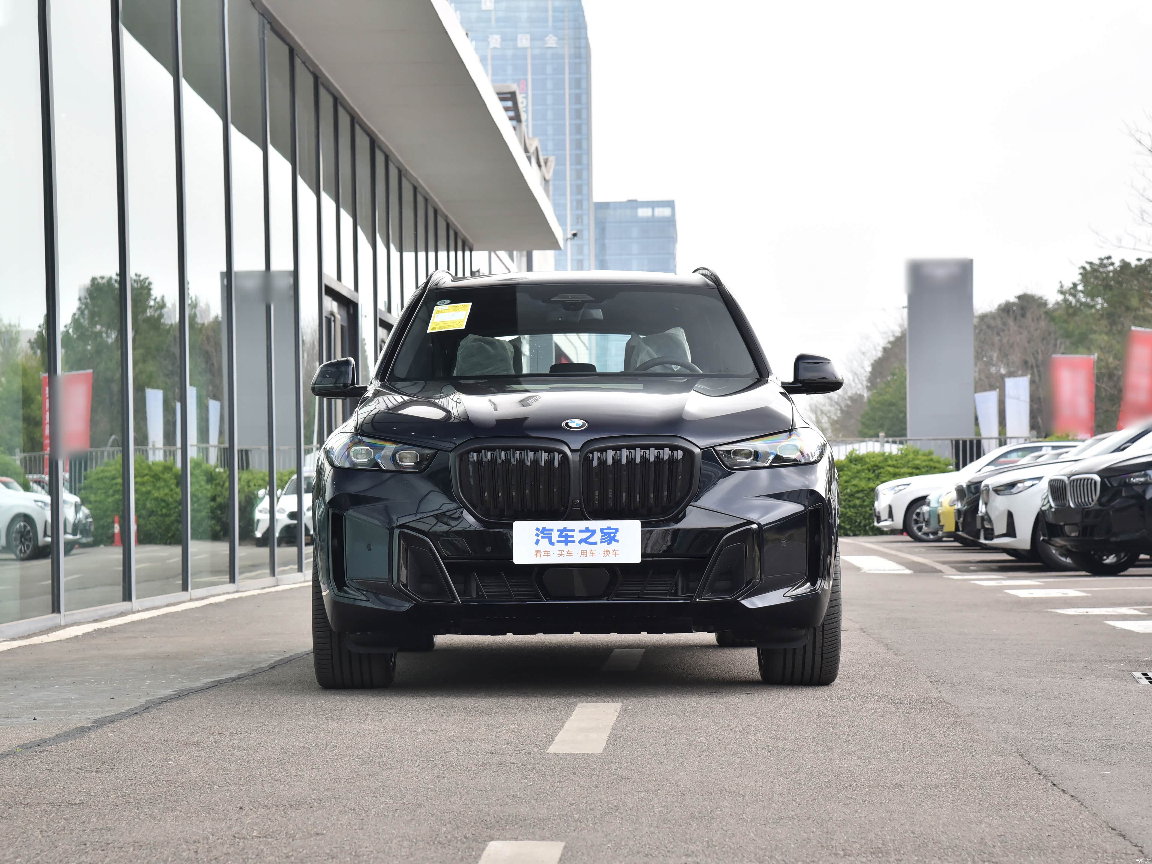 BMW X5, миниатюра 10