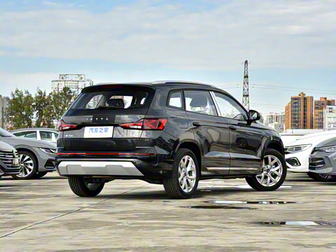 2026�� 280TSI �Զ��ȷ��