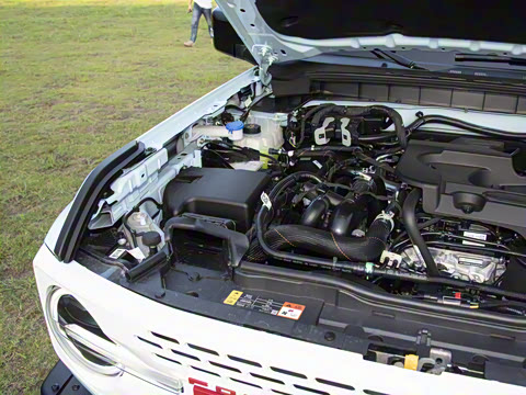 2025�� 2.3T 1966��׼��