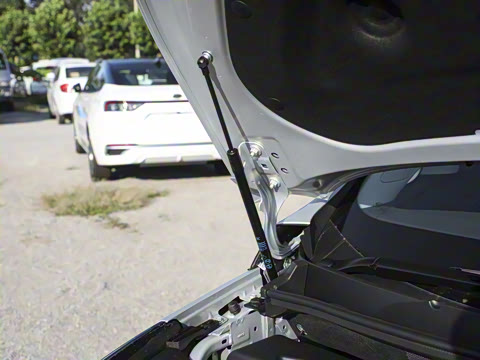 2026�� ½�� ������