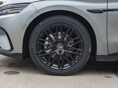 2025�� DM-i �Ǽݰ� 245KM������