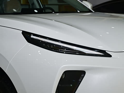 2025�� 530�캽��