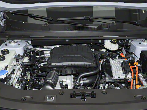 2026�� 121km ������ 7��