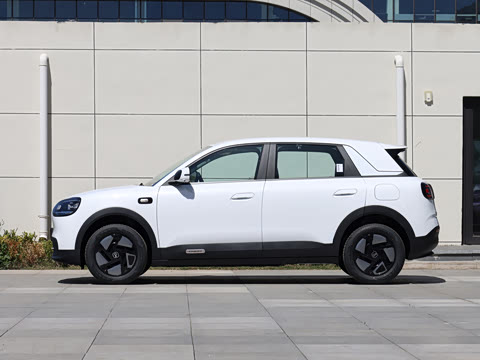 2026�� 310�Ȱ���
