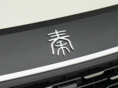 2026�� DM-i 210KM��Խ��