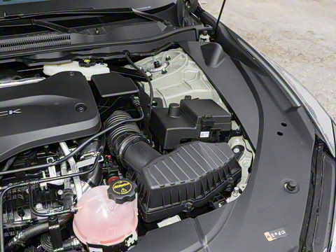 2025�� ������