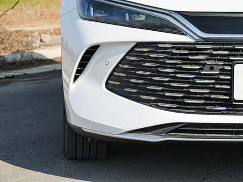 2026�� DM-i 170KM��Խ��