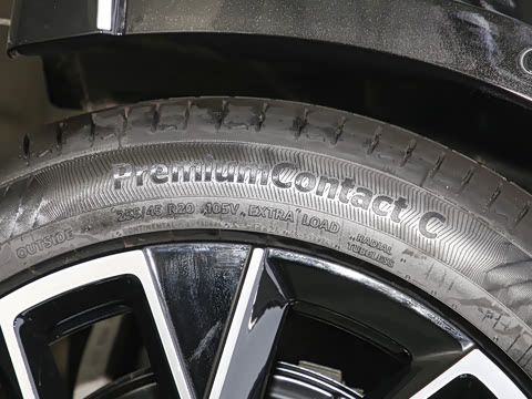 2025�� Elite�����