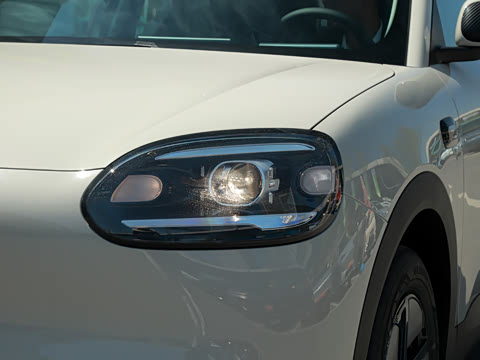 2026�� 310�Ȱ���