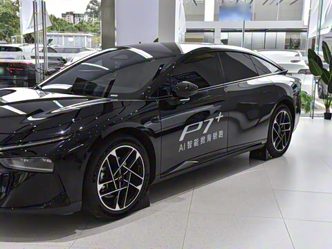 2025�� �������� Max �콢��