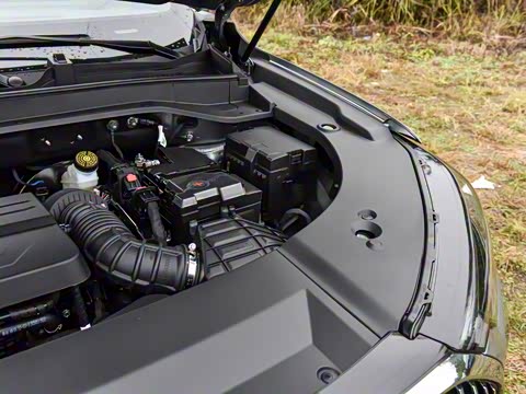 2026�� 2.0T �Զ�����ҫ����