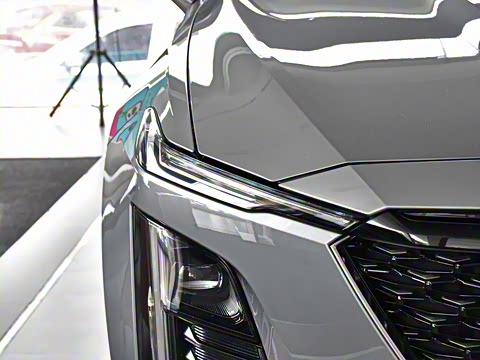 2023�� 25T ������