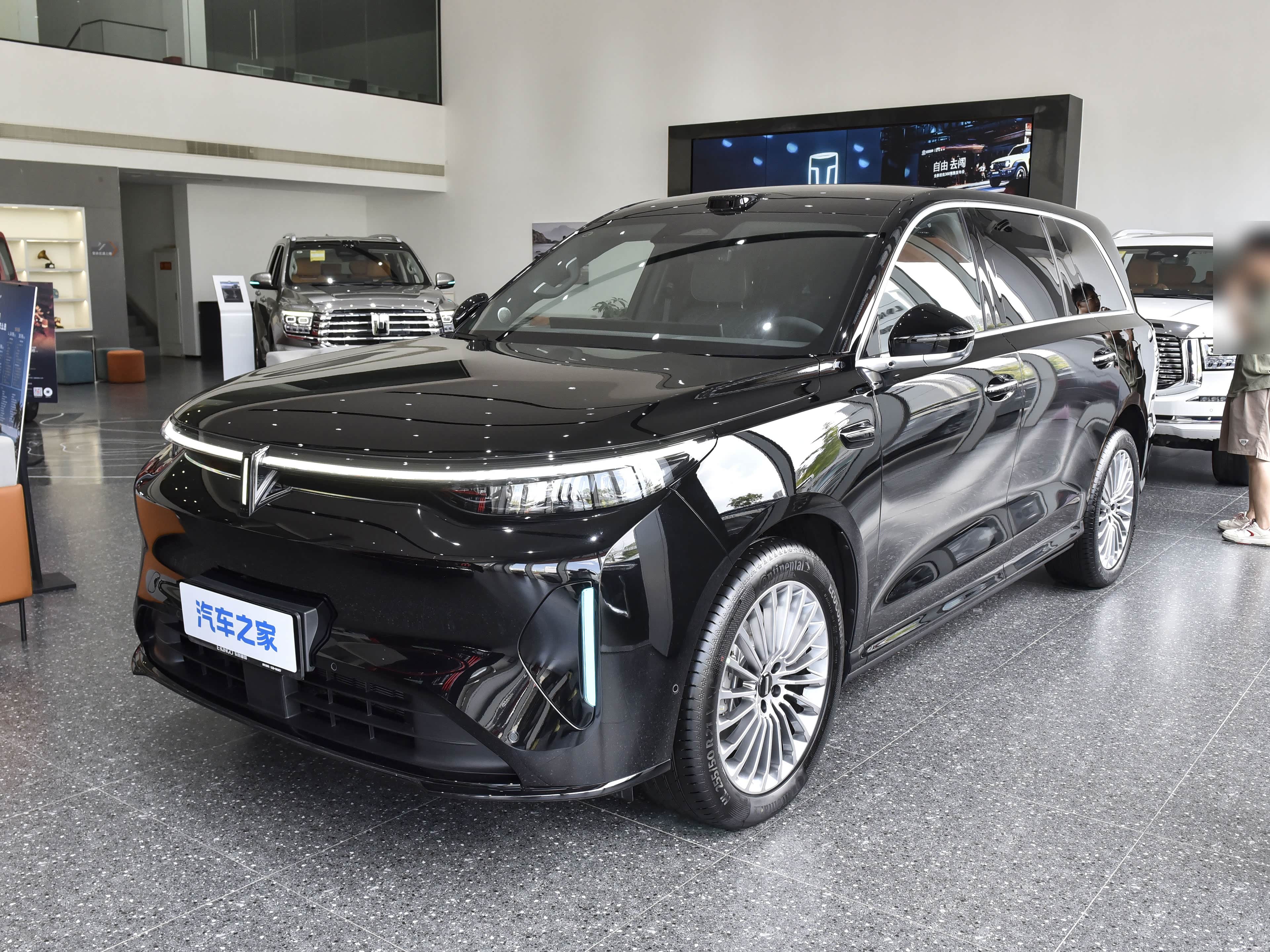 WEY V9X, миниатюра 9