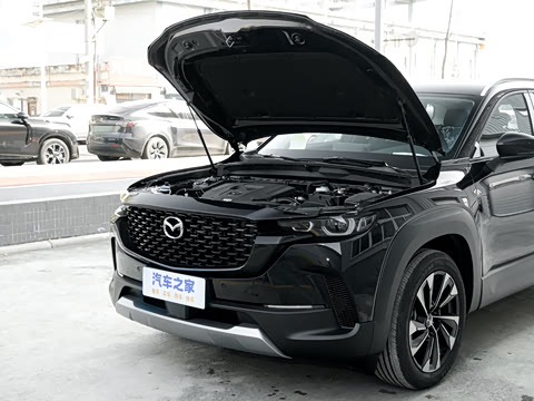 2026�� 2.5L ���а�