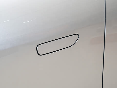 2025�� ������������Pro��