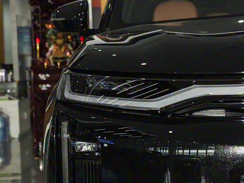 2025�� 205km Pro+��