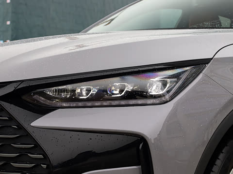 2025�� �Ǽݰ� DM-i 175KM �����״��콢��