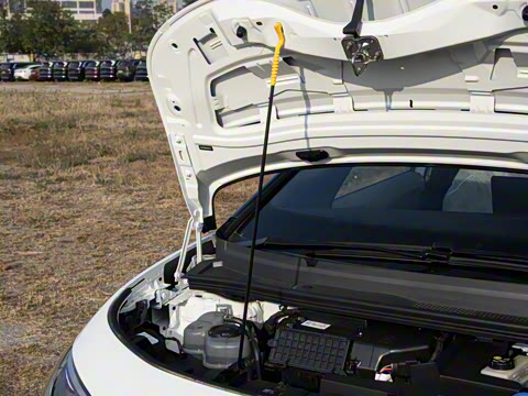 2026�� ������ ���ǰ�