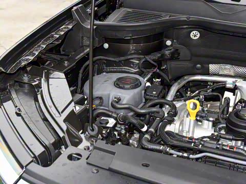 2026�� 300TSI �������°�