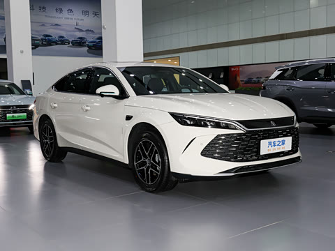 2026�� DM-i 210KM��Խ��