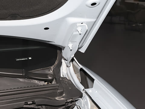 2026�� DM-i 220KM׿Խ��