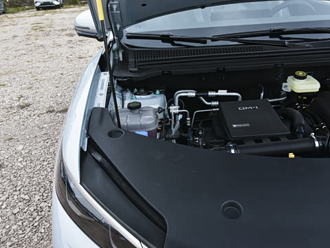 2026�� DM-i 220KM��Խ��