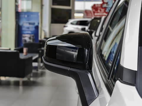 2026�� ˫�� 2.5L �����콢��