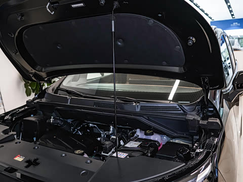 2025�� �Ŀ� �콢��