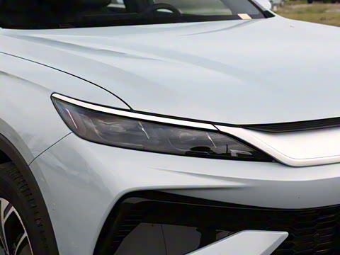 2026�� DM-i 133KM��Խ��