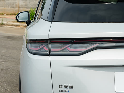2026�� DM-i 310KM ׿Խ��