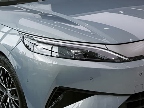 2026�� DM-i 230KM��Խ��