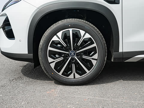 2026�� DM-i 310KM ׿Խ��