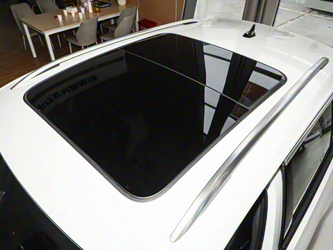 2026�� 300TSI DSG���������