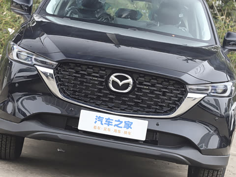 2025�� 2.0L �Զ�����������