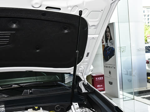 2024�� �Ŀ� 28T ���������