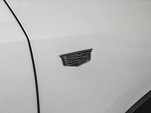 2024�� �Ŀ� 28T ���������