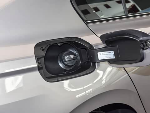 2026�� 300TSI DSG���а�