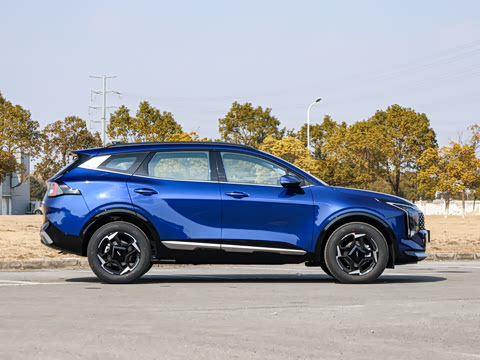 2026�� ����������