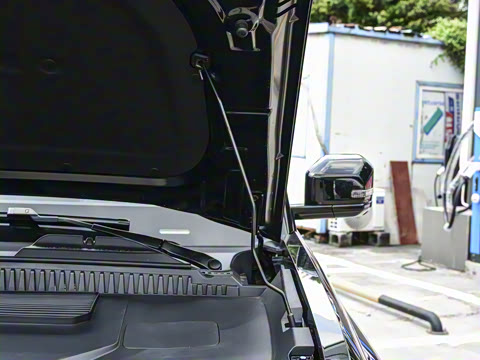 2025�� 501���������