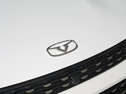 2025�� 1.5L �ֶ���Խ��