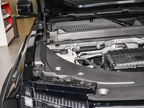 2025�� 205�������ܰ�