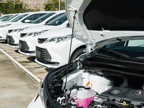 2026�� 2.5L ˫����������