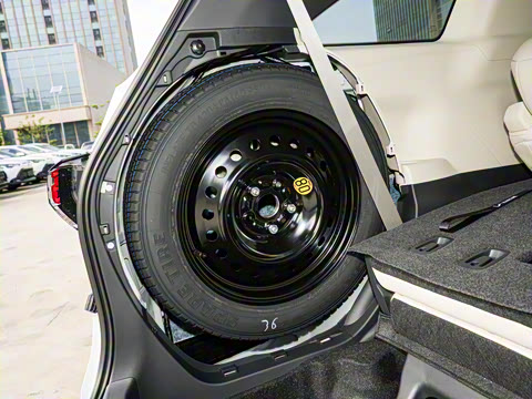 2026�� 2.5L ˫����������