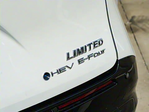 2026�� 2.5L ˫����������