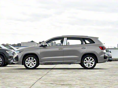 2026�� 280TSI �Զ��ȷ��