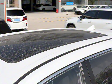 2026�� 2.0L ���ܵ��˫�� ����PLUS��