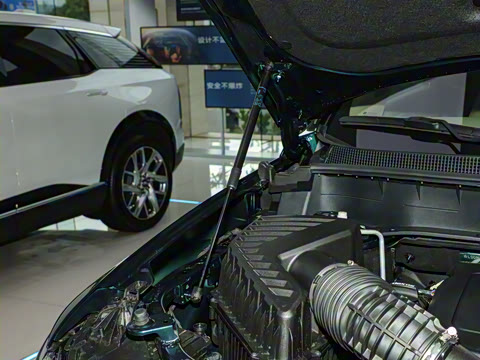 2025�� 2.0T ���������������������