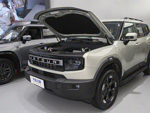 2025�� 2.0TD XWD��Խ